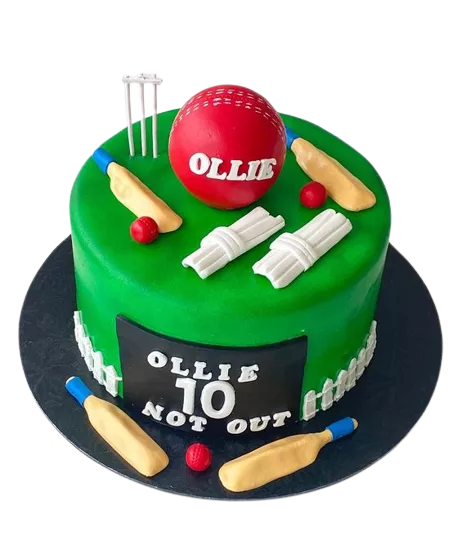 Cricket cake design 5