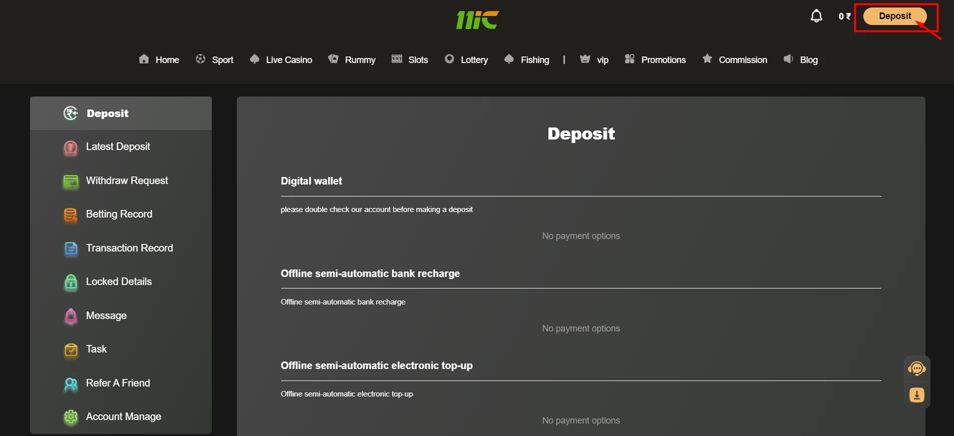 11ic cricket deposit