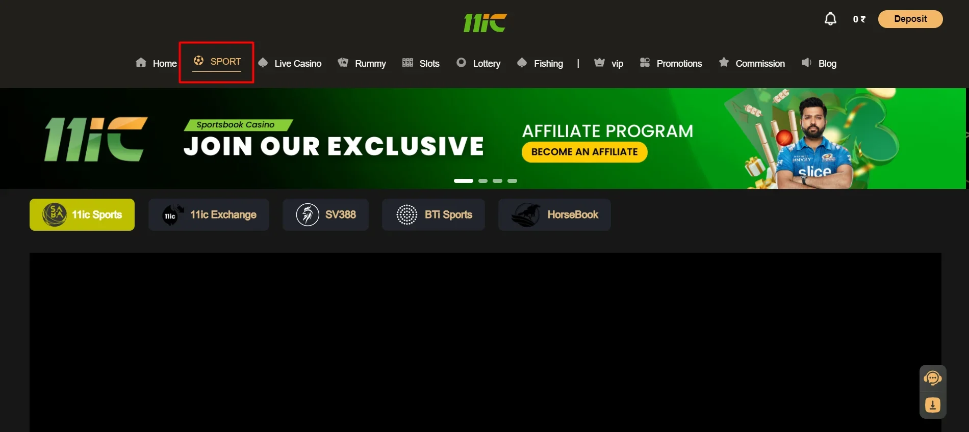 11ic sports